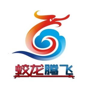 深圳市蛟龍騰飛網(wǎng)絡(luò)科技
